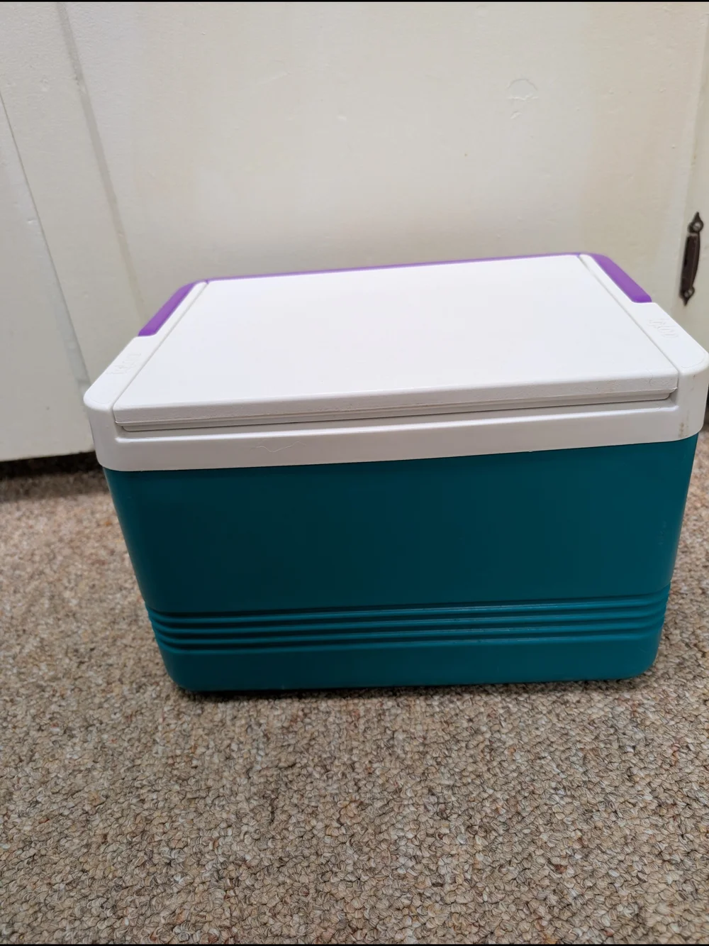 Vintage 90s Igloo Legend 12 Can Cooler With Teal Body & Purple Handle